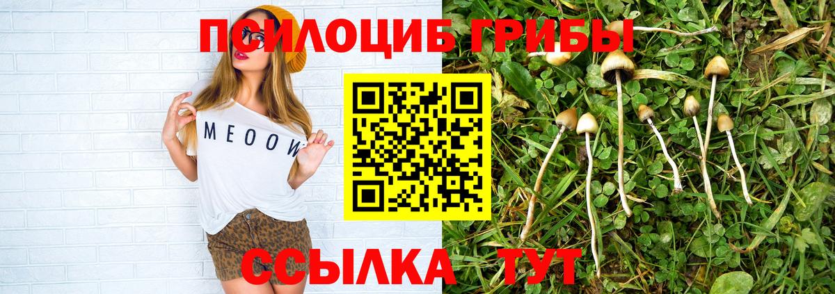 Муром  Псилоцибиновые грибы мухоморы  Вход с VPN 