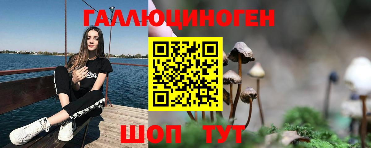 Галлюциногенные грибы MAGIC MUSHROOMS Муром